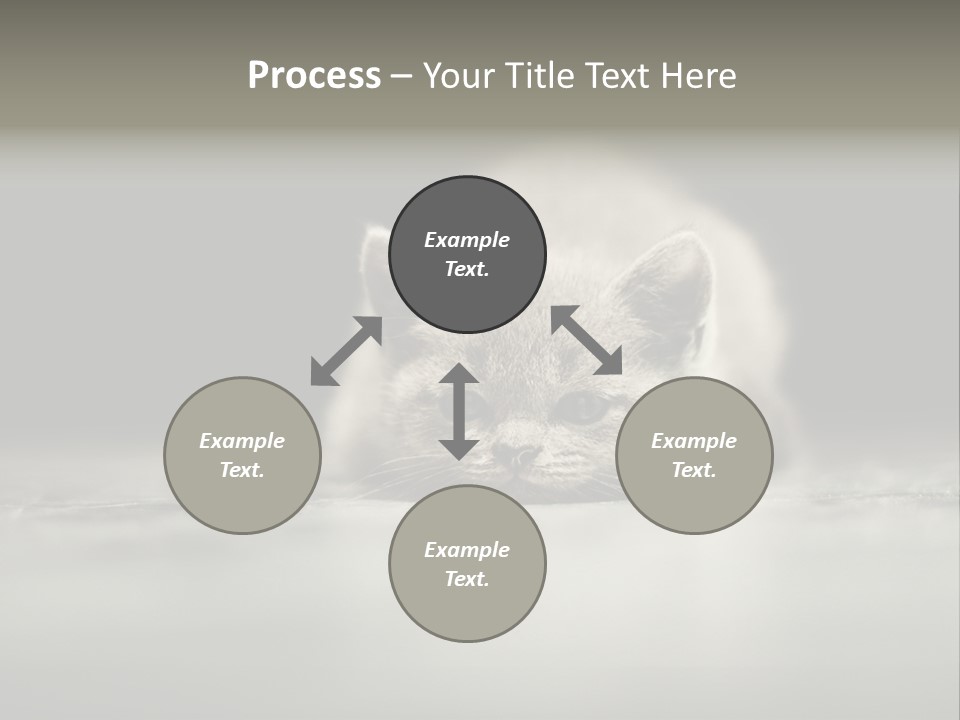 Puss Indoor Beauty PowerPoint Template