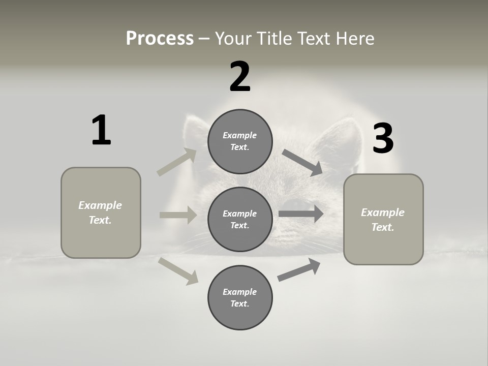 Puss Indoor Beauty PowerPoint Template