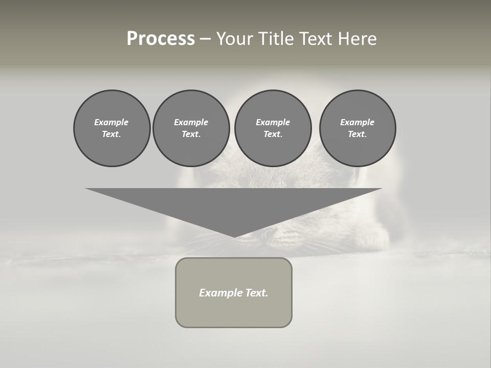 Puss Indoor Beauty PowerPoint Template
