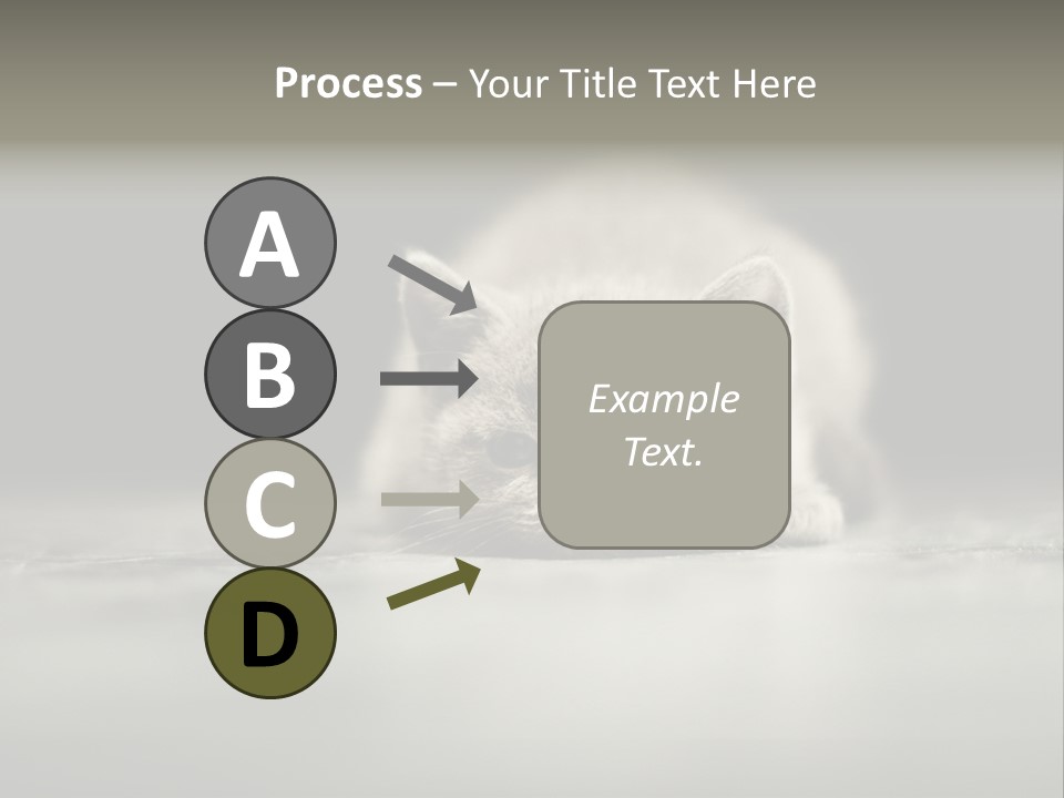 Puss Indoor Beauty PowerPoint Template
