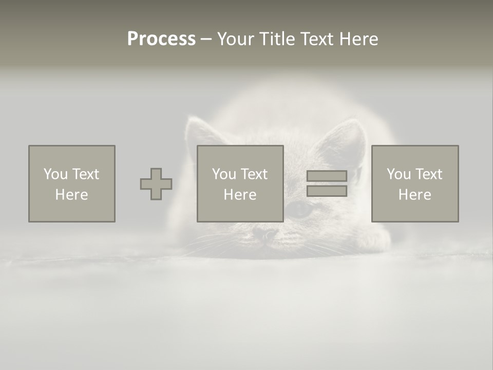 Puss Indoor Beauty PowerPoint Template