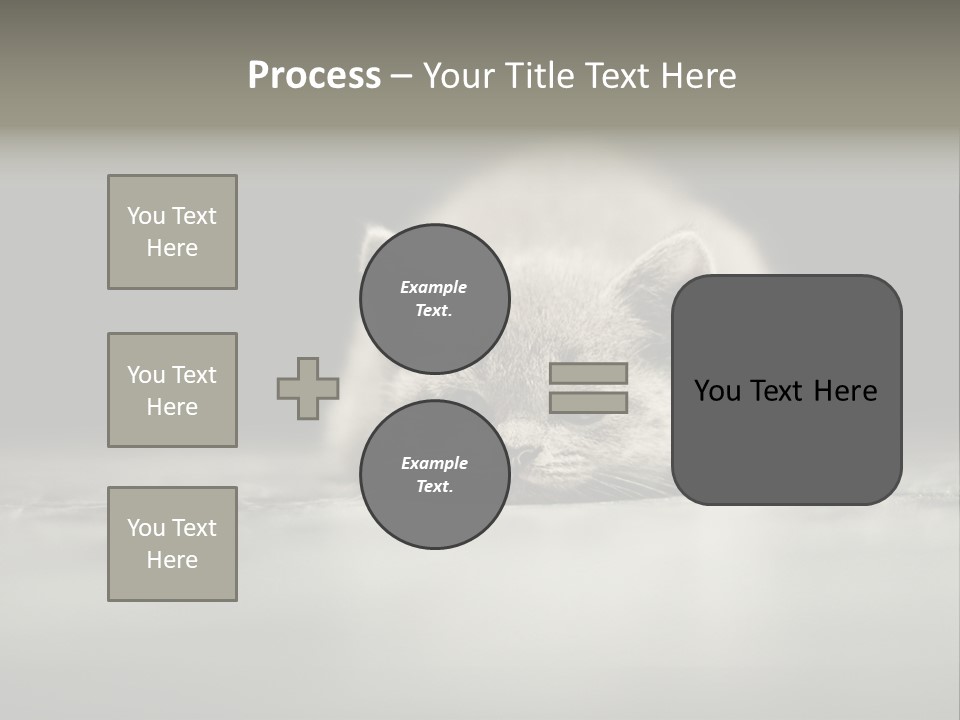 Puss Indoor Beauty PowerPoint Template