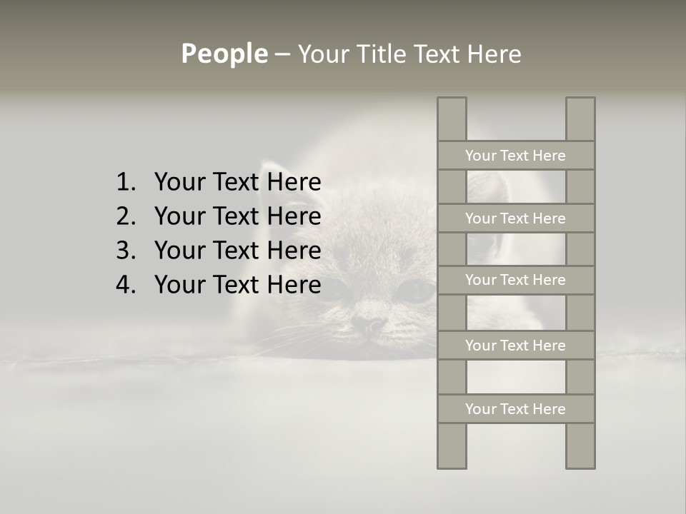 Puss Indoor Beauty PowerPoint Template