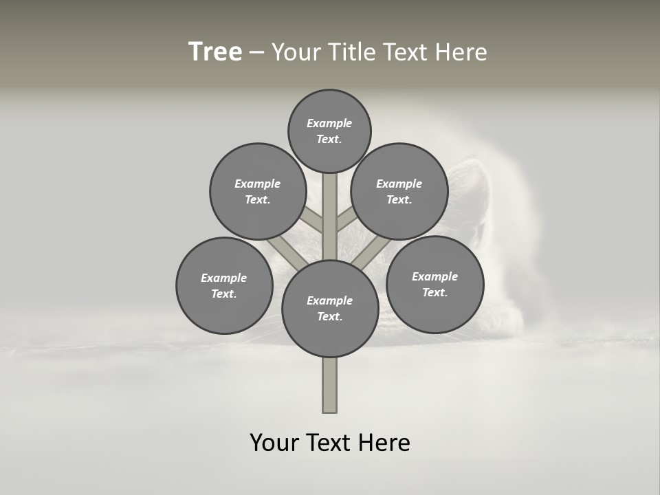 Puss Indoor Beauty PowerPoint Template