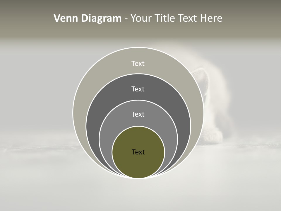 Puss Indoor Beauty PowerPoint Template