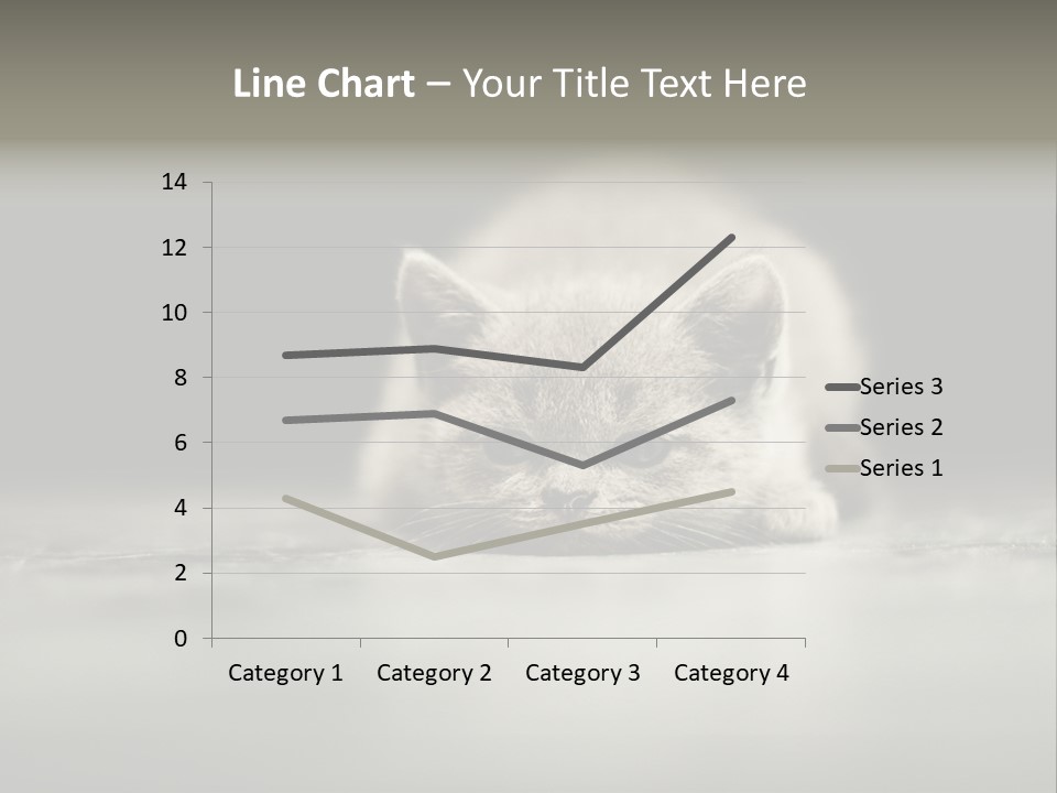 Puss Indoor Beauty PowerPoint Template