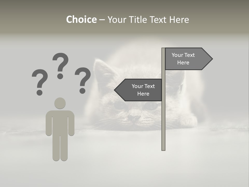 Puss Indoor Beauty PowerPoint Template