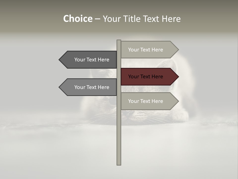 Puss Indoor Beauty PowerPoint Template