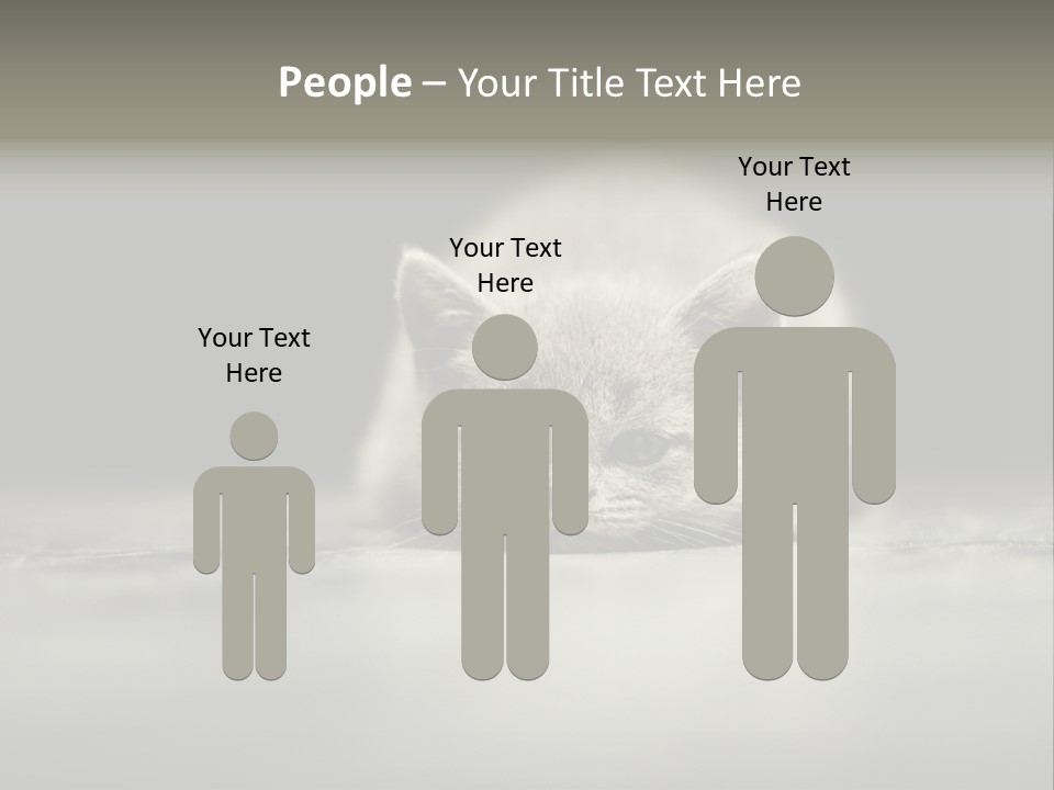 Puss Indoor Beauty PowerPoint Template