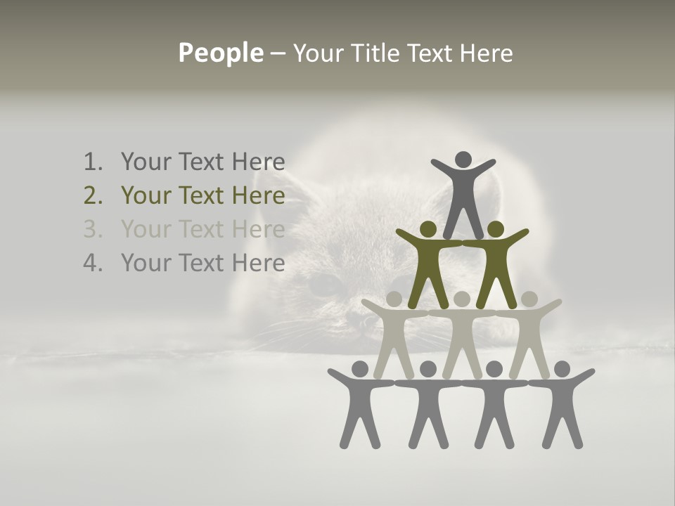 Puss Indoor Beauty PowerPoint Template