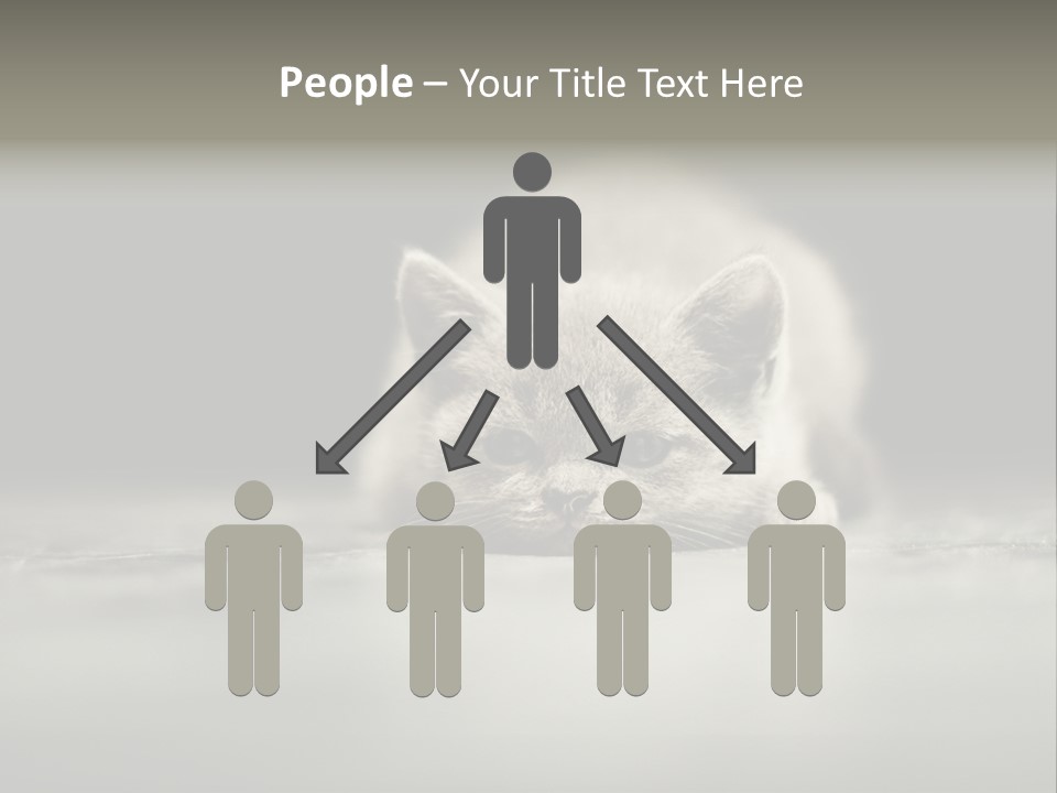 Puss Indoor Beauty PowerPoint Template