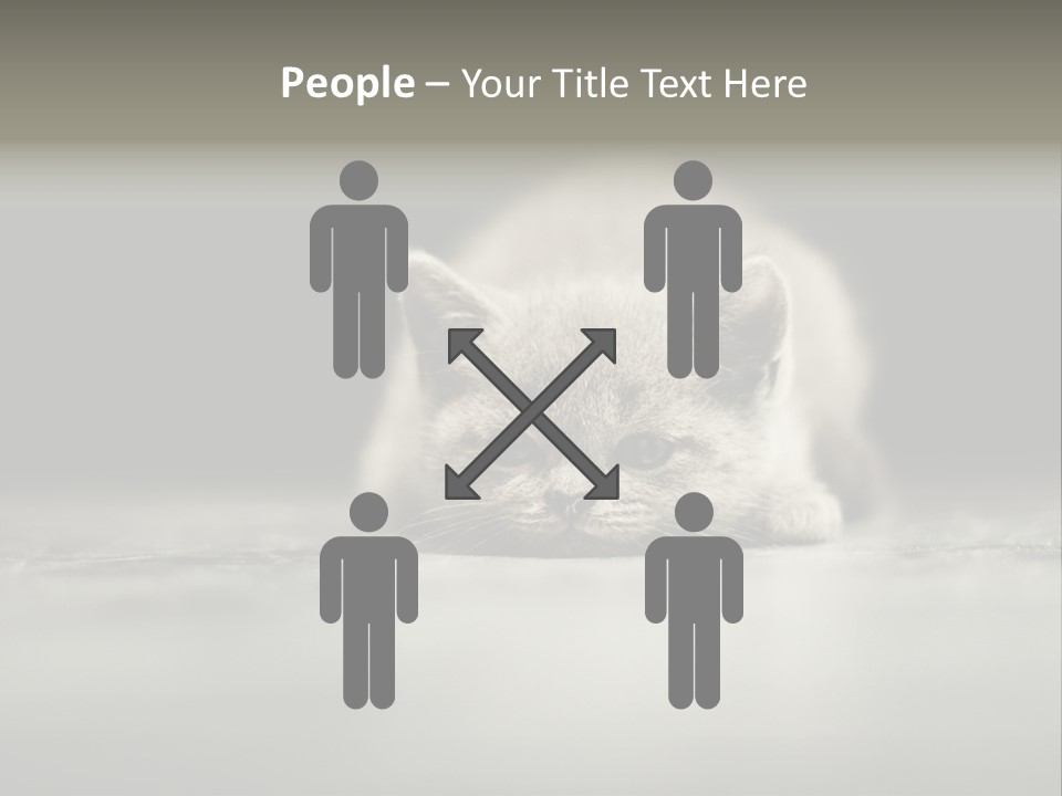 Puss Indoor Beauty PowerPoint Template