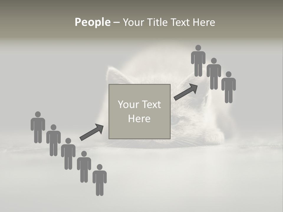 Puss Indoor Beauty PowerPoint Template