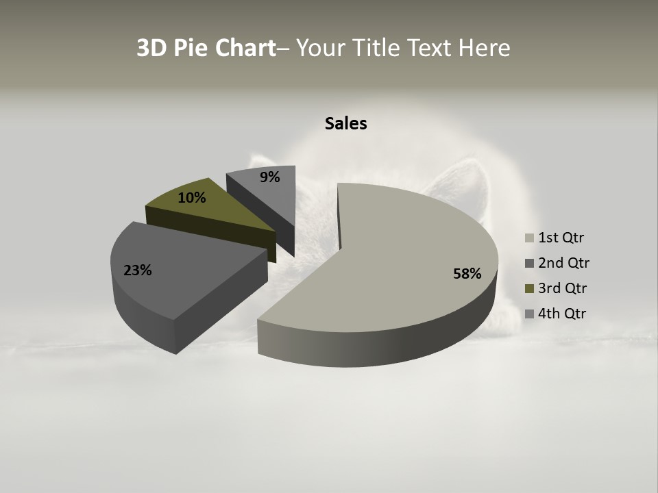 Puss Indoor Beauty PowerPoint Template