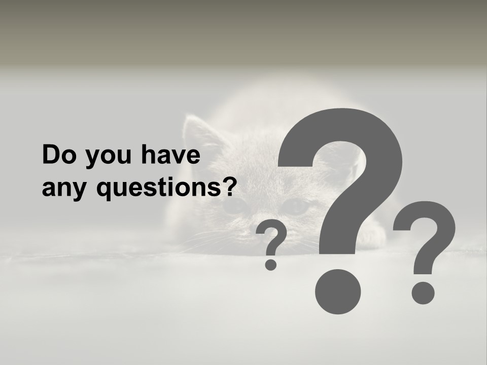 Puss Indoor Beauty PowerPoint Template