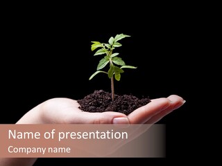 Fertile Plant Bright PowerPoint Template