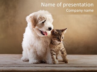 Purebred Relationship Puppy PowerPoint Template