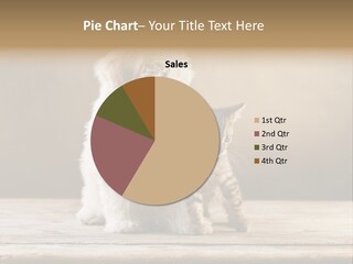 Purebred Relationship Puppy PowerPoint Template