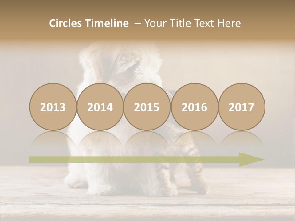 Purebred Relationship Puppy PowerPoint Template