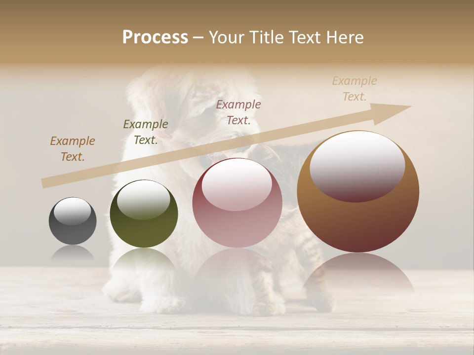 Purebred Relationship Puppy PowerPoint Template