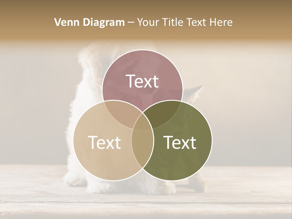 Purebred Relationship Puppy PowerPoint Template