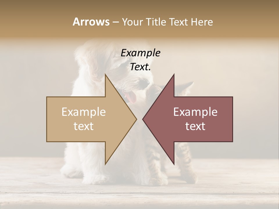 Purebred Relationship Puppy PowerPoint Template