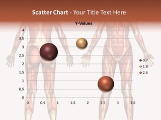 Strength Biological Muscular PowerPoint Template