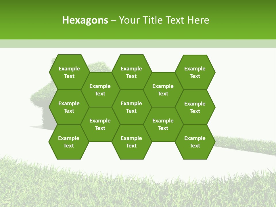 Natural Ecological Element PowerPoint Template