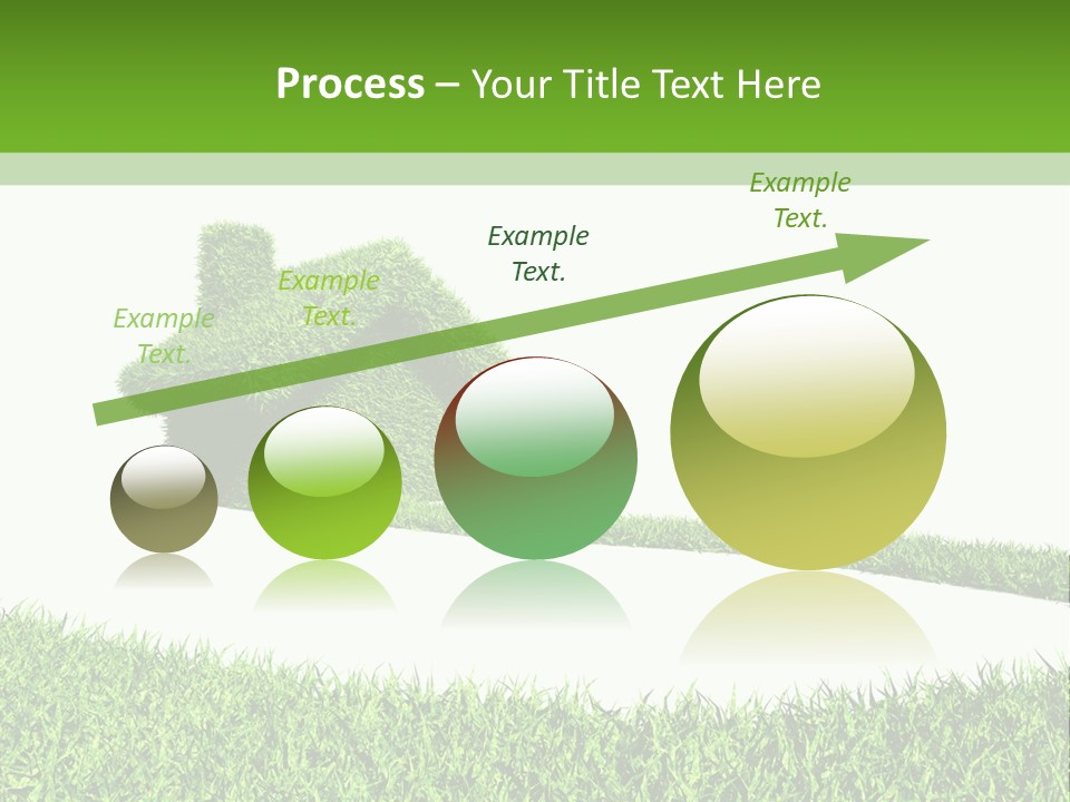 Natural Ecological Element PowerPoint Template