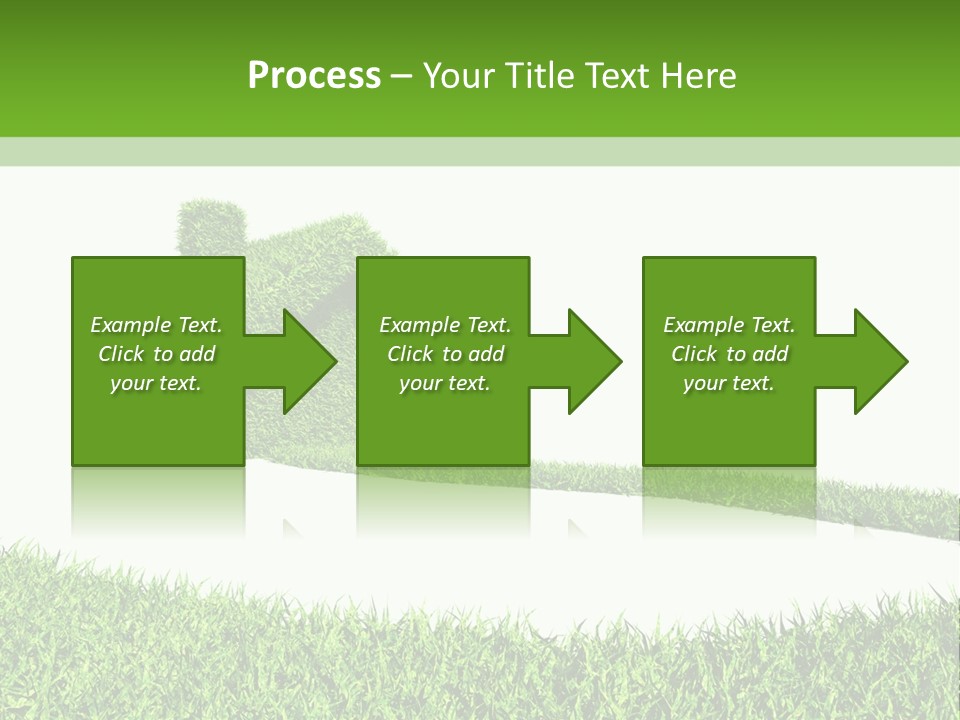 Natural Ecological Element PowerPoint Template
