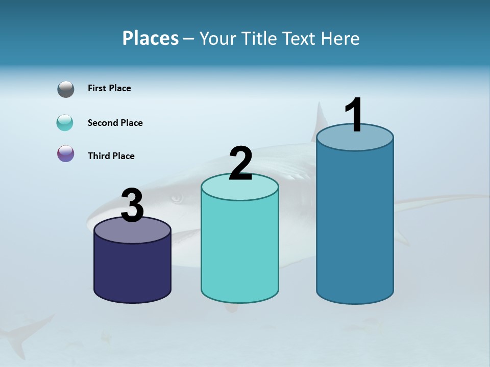 Sea Life Wildlife Sea PowerPoint Template