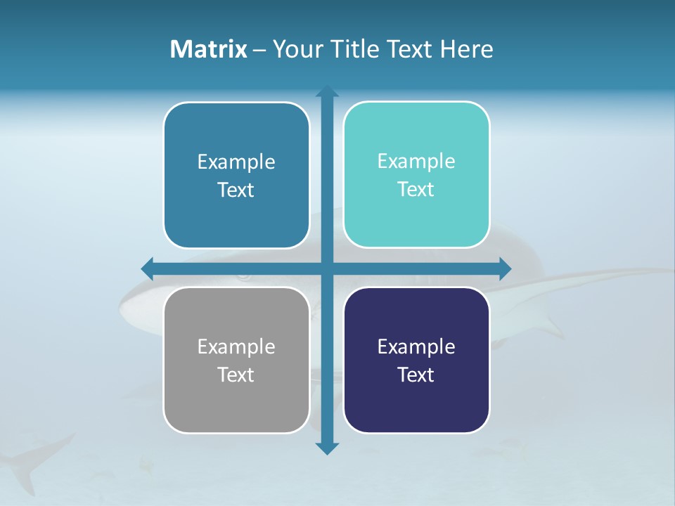 Sea Life Wildlife Sea PowerPoint Template