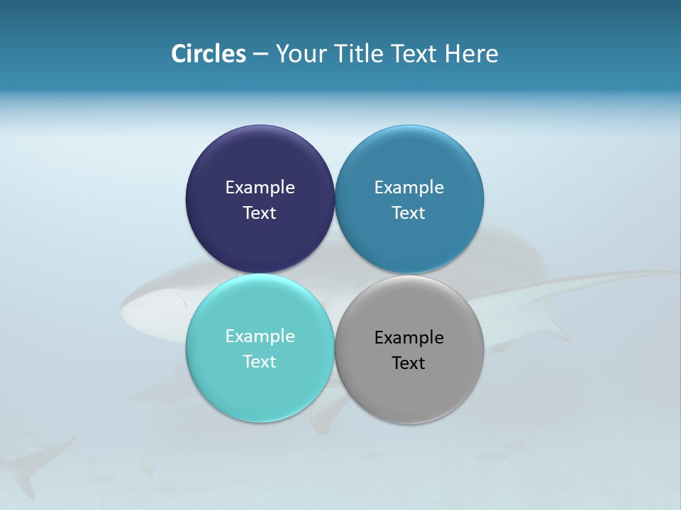 Sea Life Wildlife Sea PowerPoint Template