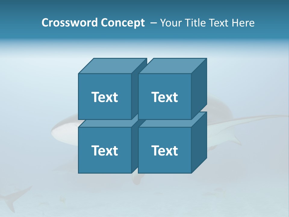 Sea Life Wildlife Sea PowerPoint Template