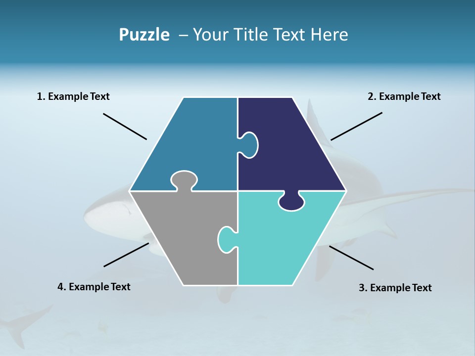 Sea Life Wildlife Sea PowerPoint Template