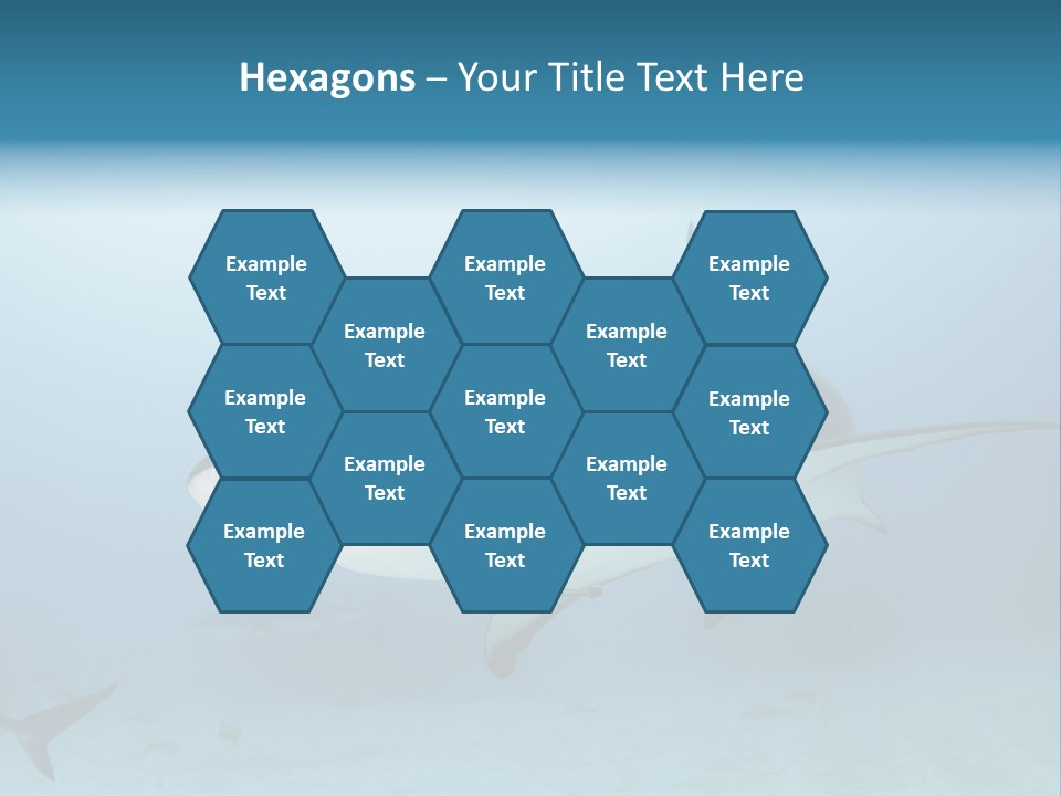 Sea Life Wildlife Sea PowerPoint Template