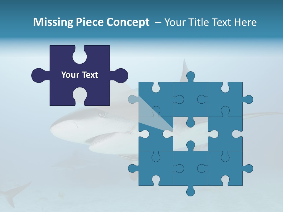 Sea Life Wildlife Sea PowerPoint Template