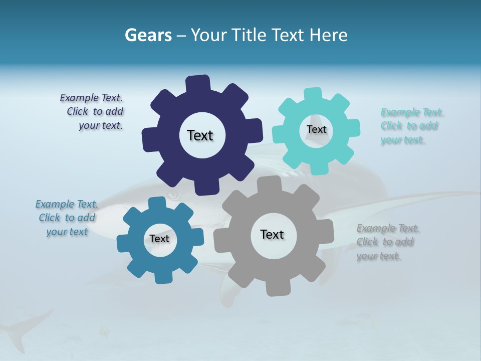 Sea Life Wildlife Sea PowerPoint Template