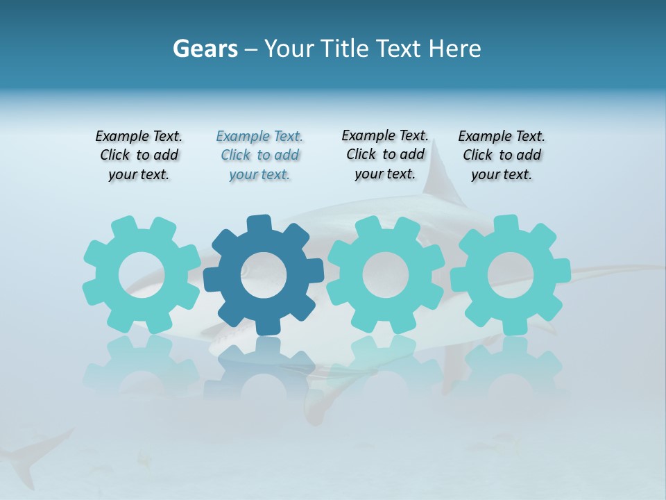 Sea Life Wildlife Sea PowerPoint Template