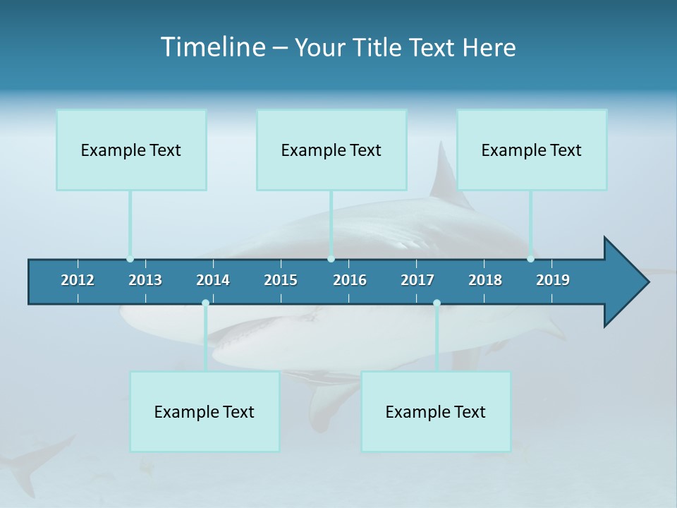 Sea Life Wildlife Sea PowerPoint Template