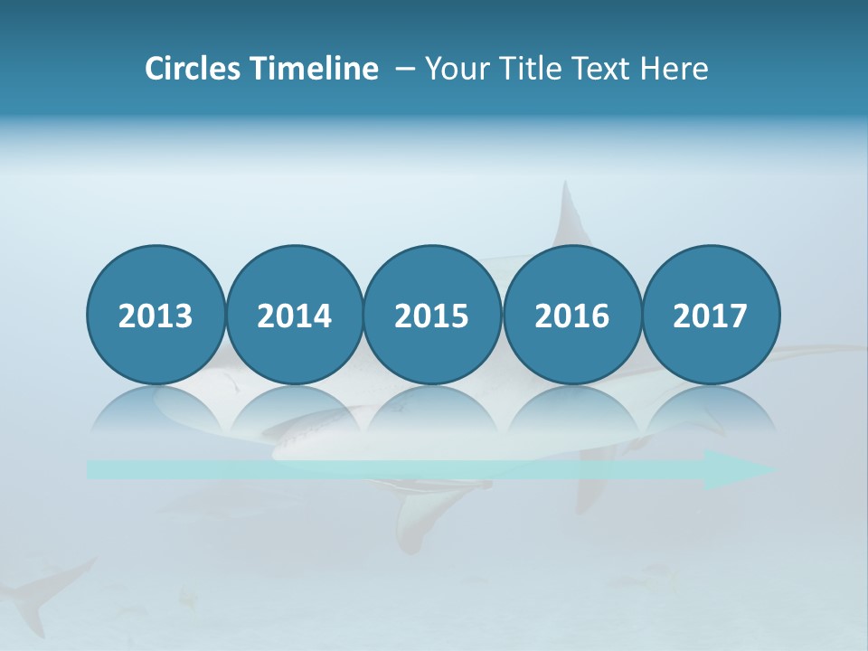 Sea Life Wildlife Sea PowerPoint Template