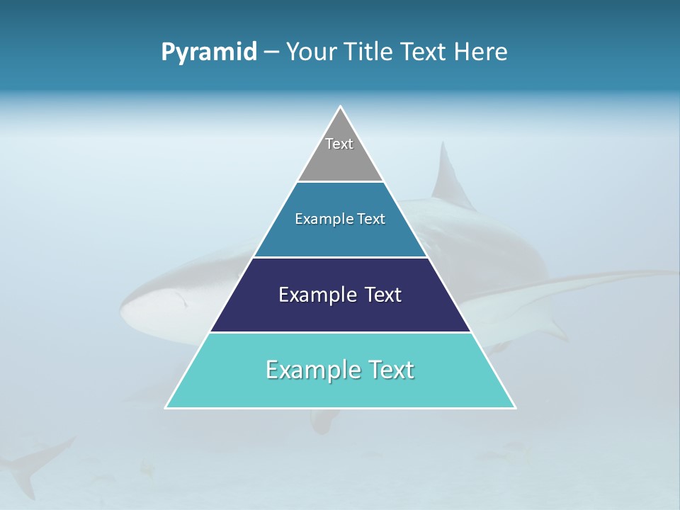 Sea Life Wildlife Sea PowerPoint Template