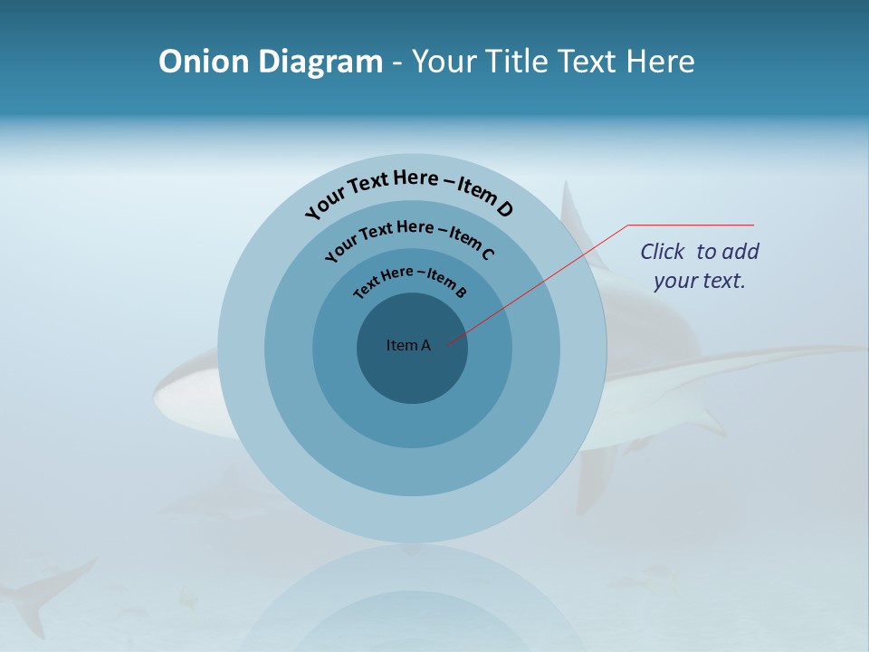 Sea Life Wildlife Sea PowerPoint Template