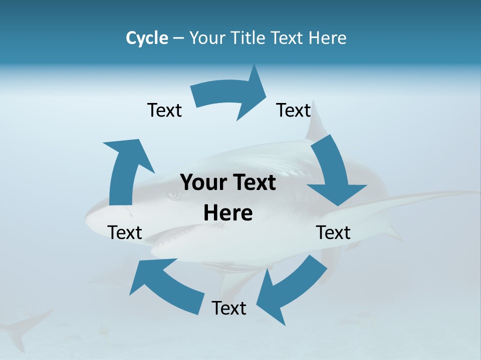 Sea Life Wildlife Sea PowerPoint Template