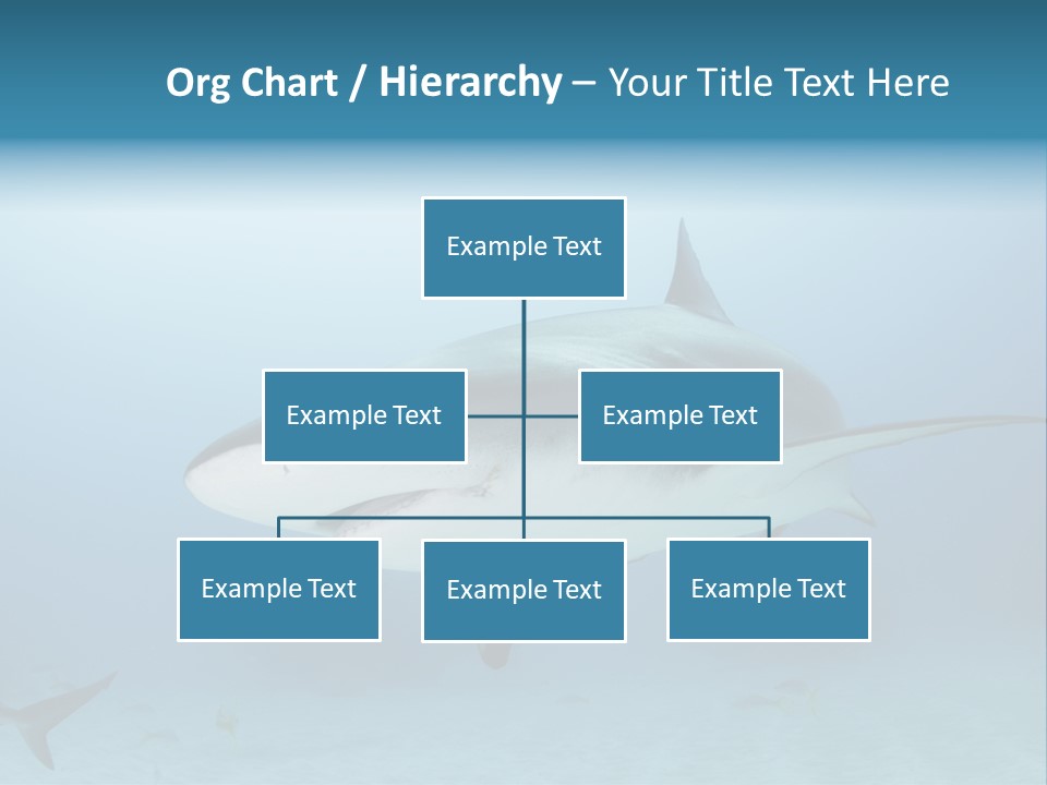 Sea Life Wildlife Sea PowerPoint Template