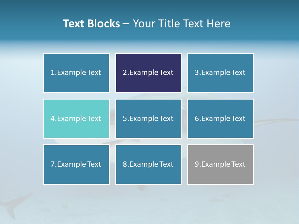 Sea Life Wildlife Sea PowerPoint Template