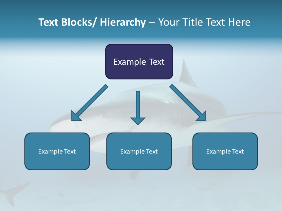 Sea Life Wildlife Sea PowerPoint Template