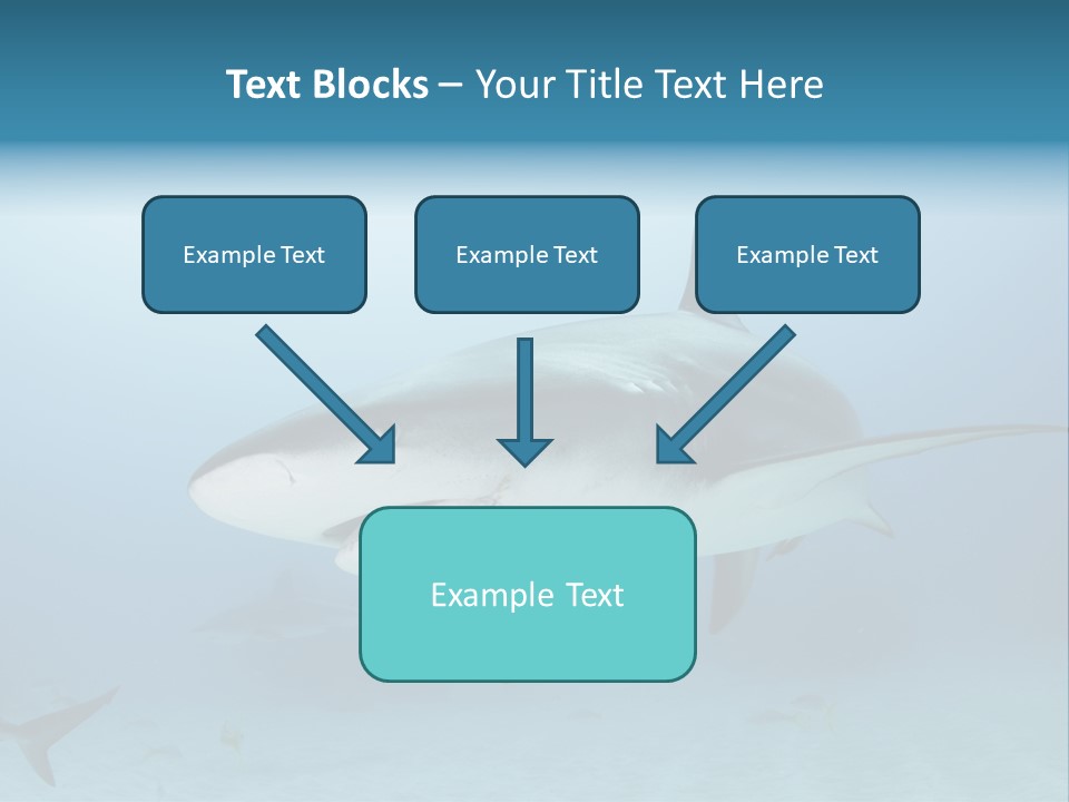 Sea Life Wildlife Sea PowerPoint Template