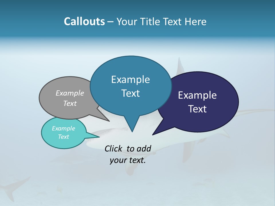 Sea Life Wildlife Sea PowerPoint Template