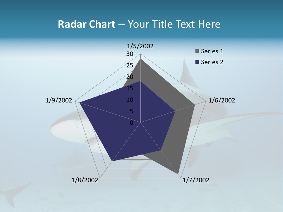 Sea Life Wildlife Sea PowerPoint Template